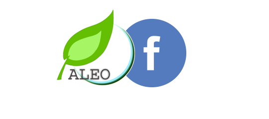 fb01